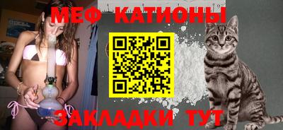 индика Пенза