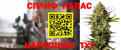 индика Пенза