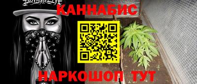 индика Пенза