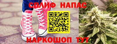 индика Пенза