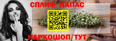 индика Пенза