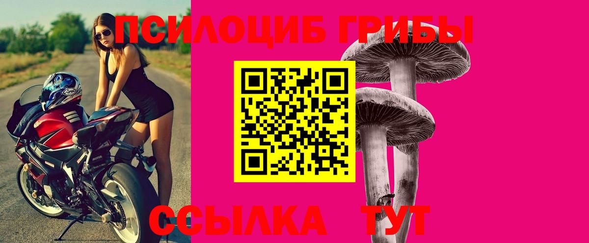 Псилоцибиновые грибы Magic Shrooms  Вход с VPN  Россия 